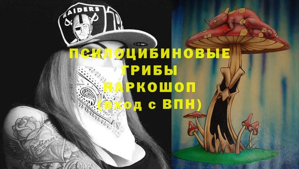 дмт Алексеевка