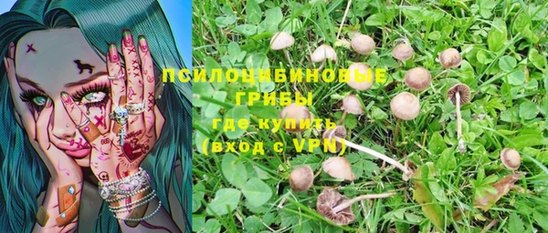 эйфоретик Иннополис