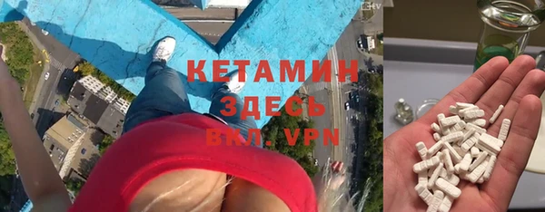 прущие грибы Инсар